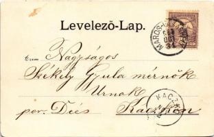 1902 Beszterce, Bistritz, Bistrita; Magyar polgári iskola. M. Binder kiadása / school (EK)