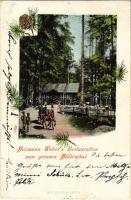 1901 Hirschwang (Reichenau an der Rax), Hermann Webers Restauration zum grossen Höllenthal / restaurant. Floral (EK)