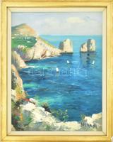 Silvani jelzéssel: Vitorlások. Olaj, vászon. Dekoratív, kissé sérült fakeretben. 27x21,5 cm