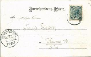 1902 Gesäuse (Steiermark), Gesäuseeingang, Gstatterboden, Kummerbrücke, Hartlesgraben, Gesäusebrücke...