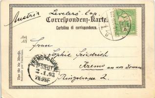 1902 Lovran, Lovrana, Laurana; Badeanstalt und Villen / spa, bath and villas (EK)