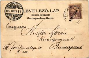 1901 Vaskoh, Vascau; Vaskóli kaszinó, katolikus templom, 200 éves hársfa. Guttmann és társa kiadása ...
