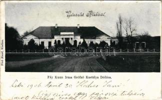 1906 Dédács, Biscaria (Piski, Simeria); Fáy Kuun Irma Grófnő kastélya. kiadja Főző József / castle (EK)