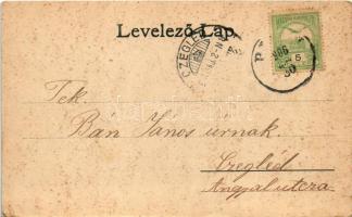 1906 Dédács, Biscaria (Piski, Simeria); Fáy Kuun Irma Grófnő kastélya. kiadja Főző József / castle (...