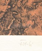 Földi Péter (1947-): Ádám. Computer print, merített papír, jelzett, számozott (1/4). 65×46 cm