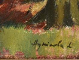 Agricola Lídia (1914-1994): Erdélyi táj. Olaj, vászon, jelzett, fa keretben, 47×39 cm / Lydia Agrico...