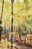 Agricola Lídia (1914-1994): Erdélyi táj. Olaj, vászon, jelzett, fa keretben, 47×39 cm / Lydia Agrico...