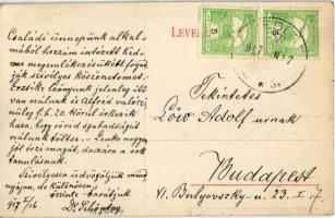 1917 Svedlér, Schwedler, Svedlár (Szepes, Zips); Ifjúsági üdülőtelep, tenisz pálya és park / Youth h...