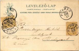 1901 Poprád (Magas-Tátra, Vysoké Tatry), Fő tér, evangélikus templom, régi harangtorony. Feitzinger ...