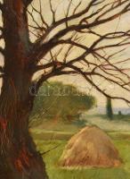 Pörge Gergely (1858-1930): Vízparti táj, 1899. Olaj, vászon. Jelezve jobbra lent. Dekoratív fakeretb...