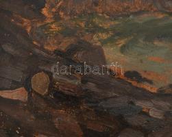 Déry Béla (1870-1932): Bornholm szigete. Olaj, karton. Jelezve jobbra lent. Dekoratív fakeretben. 30...