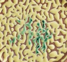 B. Várdeák Ildikó (1929-2013): Mázas kerámia kínáló, jelzett, hibátlan, d 20 cm