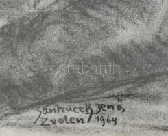 Szantrucek (Santrucek) Jenő (1903-1965): Zólyom vára, 1964. Szén, karton. Jelzett. Dekoratív, üvegez...