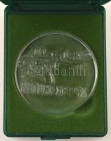 1996. "Naturexpo '96" üveg emlékérem, eredeti műanyag dísztokban (49mm) T:UNC