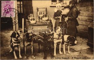 Laitiere Flamande. A. Dohmen Bruxelles / Flamand tejárus kutyás kocsival / Flemish folklore, milk vendor with dog cart