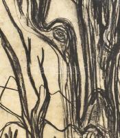 Mersits Piroska (1926-1988): Göcsörtös fa, 1973. Szén, papír, jelzett, paszpartuban. 51,5x34 cm