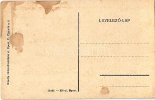 Pozsony, Pressburg, Bratislava; Életünket és vérünket áldozzuk Pozsonyért! irredenta képeslap a lero...