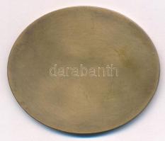 2007. "Hunfila 2007 Budapest - Nemzetközi Bélyegkiállítás" egyoldalas bronz emlékérem (50x...