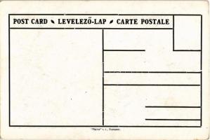 Pozsony, Pressburg, Bratislava; Magyar, tót és német nemzetiségek népesség aránya. Címer, Pátria rt....