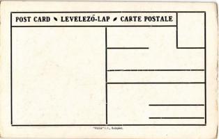 Temesvár, Timisoara; Magyar, német,román (oláh) és szerb nemzetiségek népesség aránya. Címer, Pátria...