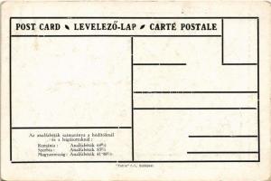 Az analfabéták számaránya a hódítóknál és a leigázottaknál: Románia, Szerbia, Magyarország. Kiadja a...