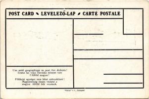 Földrajzi egységet nem lehet szétszakítani! Magyarország összes vízi utai a magyar Alföld felé vezet...