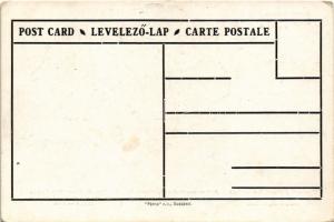 Az úgynevezett demarkációs vonal a román-cseh-szerb imperialisták kezében. Patria rt. kiadása / Hung...