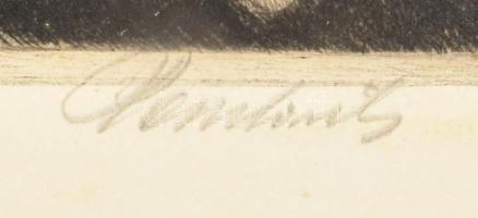 Paulovits Pál (1892-1975): Liszt Ferenc. Rézkarc, papír, jelzett, 49×35,5 cm