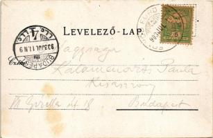 1903 Fonyód, Vasúti fürdő szálloda. Fischl Jakab és fia kiadása (fl)