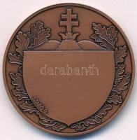DN "Szent László" bronz díjérem. Szign.: Szabó G. (42,5mm) T:UNC,AU