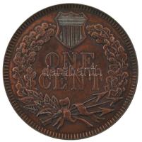 DN Az 1877-es évjáratú 1 cent érme bronzozott, nagyméretű utánverete (77mm) T:XF kopott bronzozás