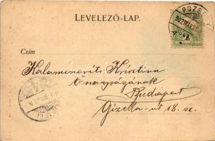 1902 Pozsony, Pressburg, Bratislava; Hal tér, Victoria szálloda, vár, K.u.K. katonák. Hans Nachbarga...