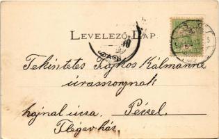 1905 Losonc, Lucenec; Gácsi utca, Belach Lajos üzlete. Redlinger kiadása / street, shop