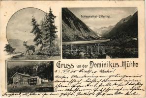 1900 Tirol, Schlegeisthal-Zillerthal, Gruss von der Dominikus Hütte / Dominicushütte / mountain rest house before the fire in 1918. Art Nouveau