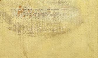 Jelzés nélkül: Gondolatokban elmerülve. Olaj, vászon, apró felületi sérülésekkel. Dekoratív, kissé s...