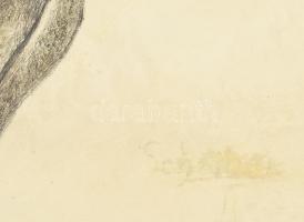 Scheiber (?) jelzéssel: Dáma. Vegyes technika, papír, farostra ragasztva. Hátoldalán MNG kiviteli bé...