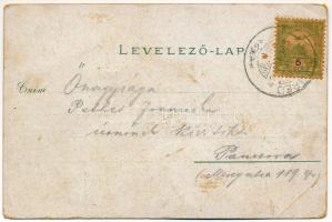 1904 Iglófüred, Bad Zipser Neudorf, Spisská Nová Ves Kupele, Novovesské Kúpele; fürdő, szökőkút. Wla...