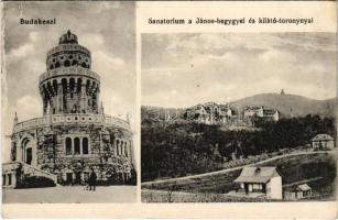 1917 Budakeszi, Szanatórium a János-heggyel és az Erzsébet kilátótoronnyal. Rapolder Istvánné kiadása (EK)