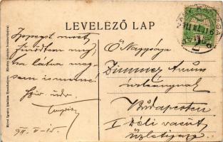 1911 Balatonkeresztúr, park. Mérei Ignác kiadása (EK)