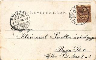 1901 Budapest XVI. Mátyásföld, Vásárhelyi János villája. Tiszteli a mátyásföldiek! (vágott / cut)