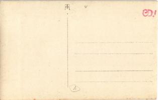 Budapest V. Báró Eötvös József szobra, Dunapalota Ritz szálloda