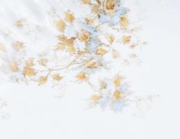 Epiag antik porcelán talpas kínáló, matricás kék virágmintával, kopással, d: 23 cm, m: 13 cm