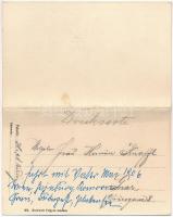 Balatonfüred. Kurzweil Frigyes kiadása - 2-részes kinyitható panorámalap