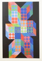 1994 Vasarely, Victor (1908-1997): Hatlapos teljes mappa (teljes a borítóval együtt). Bp., é.n., Vas...