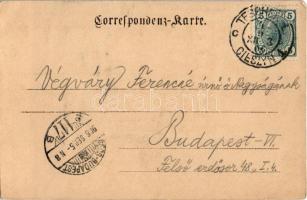 1906 Cieszyn, Teschen an der Olsa; Deutsches Haus, Deutscher Leseverein, Bierhalle / German communit...