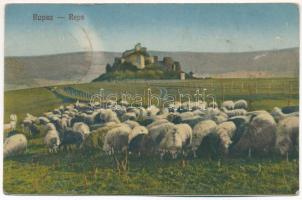 1928 Kőhalom, Reps, Rupea; Cetatea Rupea / Kőhalmi vár, juhnyáj / castle, flock of sheep. Kasper & Kellner