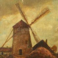 Jelzés nélkül: Szélmalmok. Olaj, karton. Felületi sérülésekkel. Fakeretben. 40x50 cm