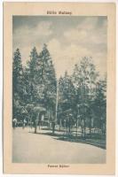 1936 Málnásfürdő, Malnas, Malnas-Bai; park / Parcul Bailor. F. Formescu (fl)