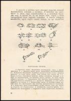 Balatoni Camping 1959. Bp.,1959., KÖZDOK, 60 p. Gazdag fekete-fehér képanyaggal illusztrált. Retró i...