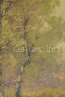 Sashegyi Kálmán, Vodicai (1886-1940): Erdő. Olaj, vászon, kartonon, jelzett. Dekoratív, üvegezett, s...